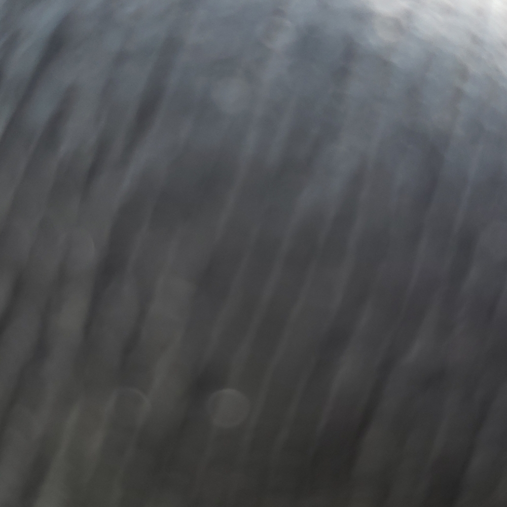 Clearance Sale